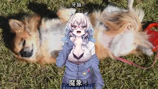 魔象 SAVIOR IN THE DARK 