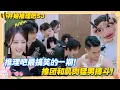 Download Lagu 【Multi Sub】开始推理吧 第3季  第10期：推团和肌肉猛男搏斗！迪丽热巴秒变迪丽热血！连30秒都没撑住！金靖被吓出表情包！#开始推理吧 第三季  #迪丽热巴 #张凌赫 #刘宇宁