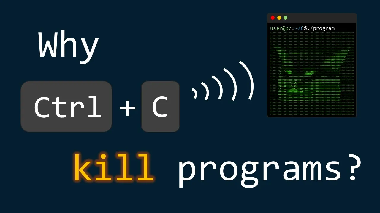 Signals: Make Ctrl+C Do Anything You Want