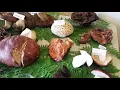 Shroomery Gathering 2018