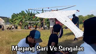 Download Layangan Madura di arena Lomba Desa Trapang || mayang sari Vs Sengalas MP3