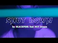 Download Lagu Shut Down by BLACKPINK feat. NCT Dream