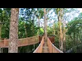 Anakeesta s TreeTop Skywalk