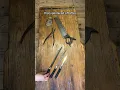 This is how to perform an amputation in the 19th century