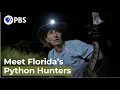 Hunting Pythons in Florida