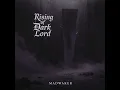 Rising of Dark Lord