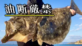 こういう場所ではタモ入れ必須の大物がよく釣れる【初心者向け】万能ルアーでヒラメ釣り