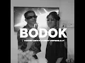 Download Lagu BODOK