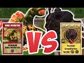 KING DETRITUS VS THE GRANDFATHER SPIDER IN WIZARD101
