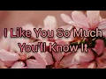 Download Lagu Honey Jemlan - I Like You So Much, You'll Know It (Lyrics)