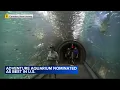 Camden New Jersey s Adventure Aquarium among top in US