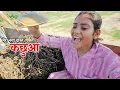Download Lagu नए दोस्त को घर में पालूंगी || Shivani kumari