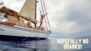 We Swim in the Middle of the Atlantic Ocean! Crazy?! (PART 2 of Atlantic Crossing) | Ep. 60