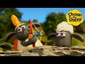 Download Lagu Play Fighting! 🐑 Shaun the Sheep 🐑  - Cartoons for Kids 🐑 Full Episodes Compilation [1 hour]