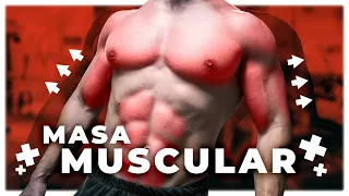 Cómo Utilizar el Entrenamiento de Fuerza para Ganar Masa Muscular