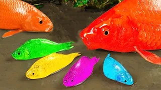 Koi to the Rescue – A Daring Escape from the Muddy Trap | Stop Motion Koi Fish