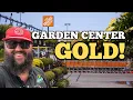 I Bought The BEST Plant in Home Depot Home Depot Garden Center New Braunfels TX