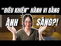 Download Lagu Ánh sáng nội thất tác động hành vi và cảm xúc?! | Kat Studio