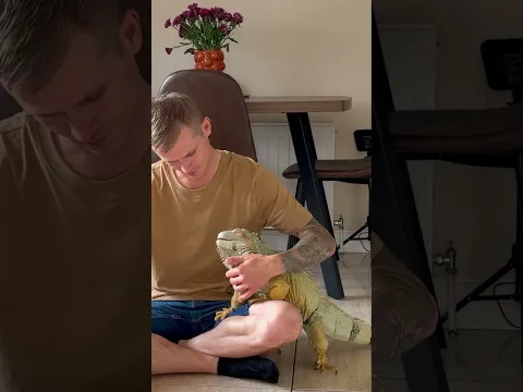 Who doesn’t love petting 🥰 #petlover #foryou #adorable #animals