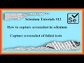12 Selenium Webdriver capture screenshot of webpage