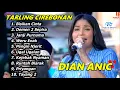 Download Lagu BISIKAN CINTA DIAN ANIC Tarling Musik Anica Nada