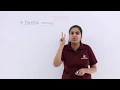 Class 12th - Parallel Vectors Vector Algebra Tutorials Point