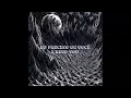 You - DustBowlChampion - LYRICS / TRADUÇÃO 