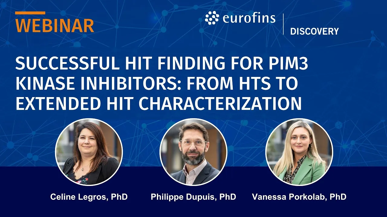 Successful Hit Finding for PIM3 Kinase Inhibitors: From HTS to Extended Hit Characterization