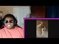 I GOT PULLED OVER TIKTOK COMPILATION SPEEDING PRANK CHALLENGE Reaction