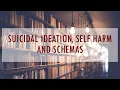 The Busy Practitioner s Guide to the Research - Suicidal Ideation and Self Harm