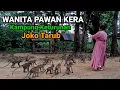Lagu Keturunan Bidadari Nawangwulan Joko Tarub di Lokasi sendang mandi para Dewi di Tuban.