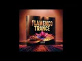 Dj Ajm - In Flamenco Trance | Melancholic Spanish Guitar | Sad Techno | Electronic Dance  Music |