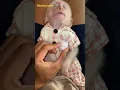 Download Lagu Bobo so cute #babymonky #babyanimal #monkeybabby #babymonkey #cute #monkeys #animals #monkey