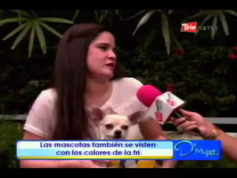 Las mascotas también se visten con los colores de la tri