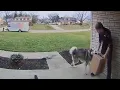 FUNNIEST Pets Caught on Camera