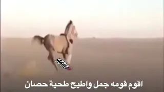 اقوم قومه جمل  اقوم قومه جمل