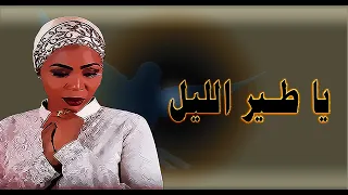 يا طير الليل 