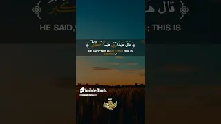 اجمل تلاوة للصوت الباكى الشيخ المنشاوى اكسبلور القرانالكريم تيك توك 2 