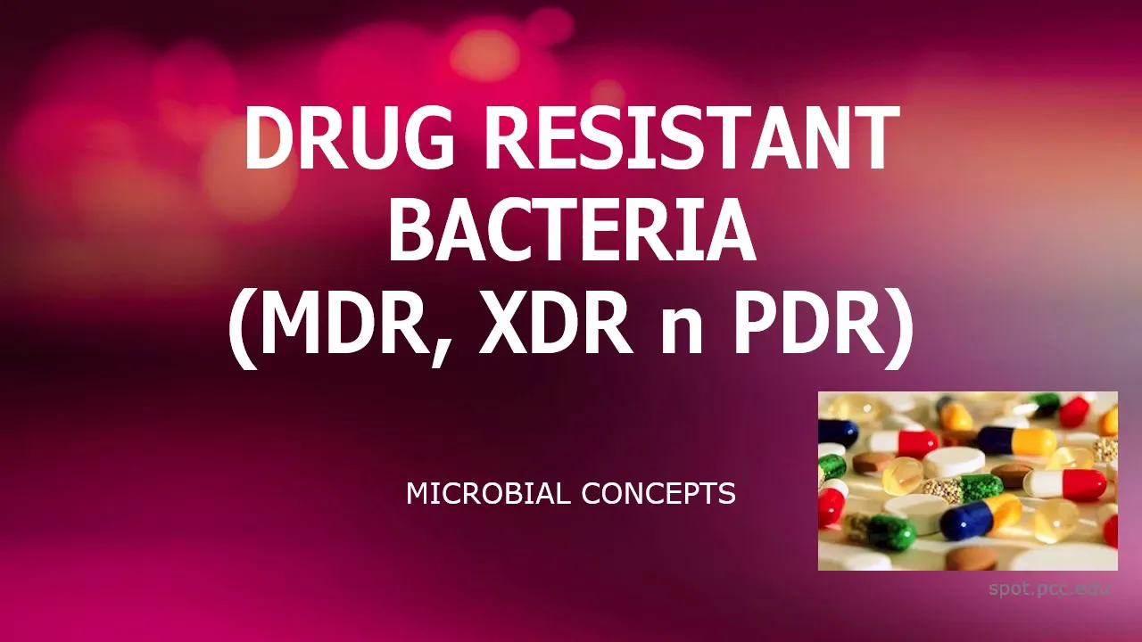 DRUG RESISTANT BACTERIA (MDR, XDR n PDR) | Antibiotic resistance
