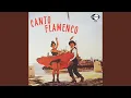 Download Lagu Donde Esta La Novia