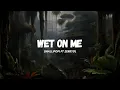 Download Lagu Shallipopi - Wet on Me ft. Zerrydl  (Lyric Video)