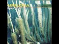 Odua