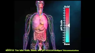 การกินอาหารที่เป็นกรดหรือด่าง会影响ระดับ pH ในเลือดหรือไม่