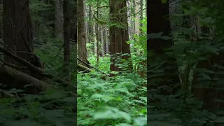 THIS is why we are working so hard…  #sailboat #boatrenovation