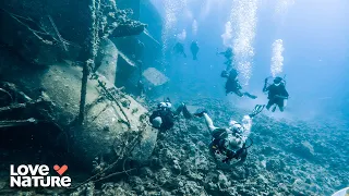 Roatan's Sunken Shipwrecks | Reef Wrecks 104