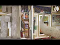 Downsizing See if your stuff is worth selling at auction or on consignment