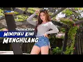 Download Lagu DJ MIMPIKU KINI MENGHILANG - FIKO 88 CHANNEL