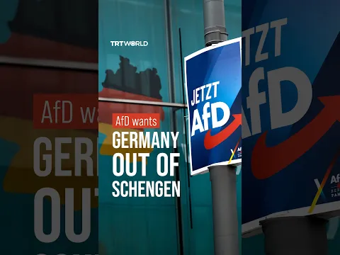 AfD calls for Germany to ditch euro and leave Schengen