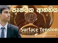 Download Lagu surface tension physics theory #physics #education #surface