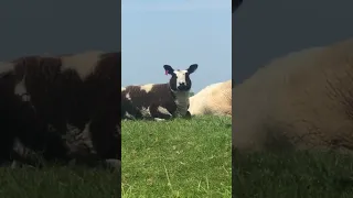 T/T Lady Liselot took us to some places we could never visit with the mother ship